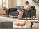 2 Seater Sofa, 132 cm Modern Small Sofa with Solid Wood Legs and 2 Pillows for Small Space, Grey T3398P548096