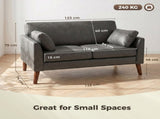 2 Seater Sofa, 132 cm Modern Small Sofa with Solid Wood Legs and 2 Pillows for Small Space, Grey T3398P548096