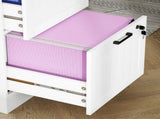 2 Drawer Filing Cabinet with Lock, Office Storage Cabinet with Adjustable Hanging Bars for A4 Letter T3398P425002
