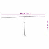 Awning Post Set Anthracite 600x245 cm Iron 315098