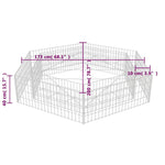 ZNTS Hexagonal Gabion Raised Bed 200x173x40 cm 142536