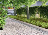Lawn Edging Silver 450 x 0.05 x 15 cm Stainless Steel 868022