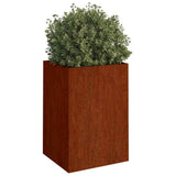 Planter 52x48x75 cm Corten Steel 821555