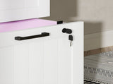 4 Drawer Filing Cabinet with Lock, Office Storage Cabinet with Adjustable Hanging Bars for A4 Letter T3398P425016