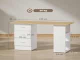 Computer Desk, Writing Table, PC Workstation with 3 Storage Shelves and Drawers, Silver Handle, for T3398P378019