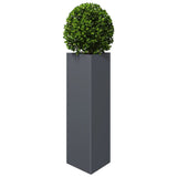 ZNTS Garden Planters 2 pcs Anthracite Triangular 30x26x75 cm Steel 851148