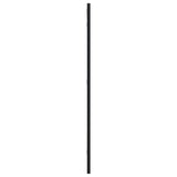 Wall Mirror Black 40x80 cm Rectangle Iron 358644
