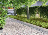 Lawn Edging 450 x 25 cm Stainless Steel Silver 868034