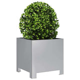 Garden Planters 2 pcs 30x30x30 cm Galvanised Steel 851196