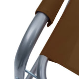 Director's Chairs 2 pcs Steel Brown 47921