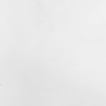 Plant Fleece Covers with Drawstring 12 pcs 70 g/m² 0.8x1.2 m 3203547