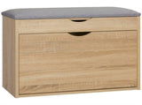 Shoe Bench with Cushion for 4 Pair of Shoes, Storage Bench with Padded Seat, Flip-up Cabinet and T3398P344398