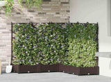 Garden Planter 5 pcs Brown 120 x 120 x 125.5 cm PP 42002819