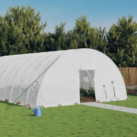 Greenhouse with Steel Frame White 36 m² 6x6x2.85 m 3188117