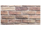 Wall Panels 10 pcs Brown and Grey 100 x 50 cm EPS Foam 42046103
