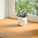 Window Sills 2 pcs Light Brown 160x20x2 cm Solid Wood Oak 4009140