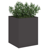 Garden Planter Black 32 x 32 x 40 cm Cold-rolled Steel 876343