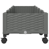 Garden Planter with Wheels Light Grey 160 x 40 x 33 cm PP 3423131