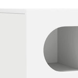 TV Cabinet White 100 x 35 x 40 cm Engineered Wood 891264