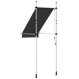 Manual Retractable Awning 100 cm Anthracite 145832