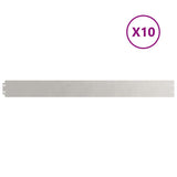 Lawn Edgings 10 pcs 10x103 cm Stainless Steel 860134