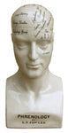 Large Ceramic Phrenology Head 42cm CHA462