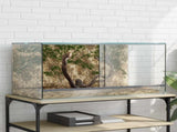 Terrarium with Storage Transparent 80 x 40 x 40 cm Glass 42020392