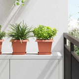Plant Pots 24 pcs Brick Red 20 x 20 x 16 cm Plastic 3403305