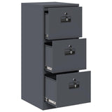 File Cabinet Anthracite 44 x 50 x 106.5 cm Cold-Rolled Steel 891600