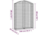 Arched Gabion Basket 100x30x180/200 cm Galvanised Iron 153429