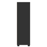 Bathroom Cabinet Black 30.5 x 30 x 101 cm Engineered Wood 888738