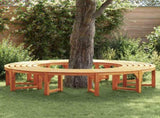 Tree Bench 2 pcs Natural 160 x 80 x 45cm Solid Eucalyptus Wood 3324836