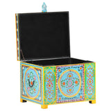 Hand Painted Storage Box 50x40x40 cm Solid Mango Wood 323540