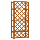 Garden Trellis Planter with Shelves Orange 60x30x140 cm Solid Firwood 314834