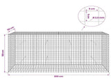 Gabion with 3.5 mm Wire and 5x5 cm Mesh 200x50x100 cm 3462334