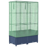 Raised Bed with Greenhouse Cover Rattan Look 80x40x138 cm 4015828