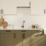 Cabinet Handles 20 pcs Black 160 mm Stainless Steel 3203654