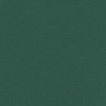 Retractable Side Awning Dark Green 200x600 cm 4004560