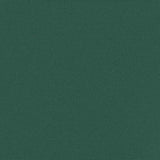 Retractable Side Awning Dark Green 200x600 cm 4004560
