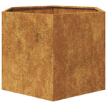 ZNTS Garden Planter Hexagon 69x60x45 cm Weathering Steel 851128