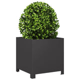 Garden Planters 2 pcs Black 40x40x40 cm Steel 851200