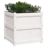 Garden Planters 2 pcs White Solid Wood Pine 837427