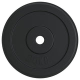 Weight Plate 40 kg Cast Iron 3145054