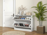 2 Drawers Entryway Shoe Cabinet, Narrow Shoe Storage Cabinet with 2 Flip Drawers, Louvred Door T3398P344136