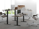 72-116cm Adjustable Electric Standing Desk, with LED Display - Black T3398P329528