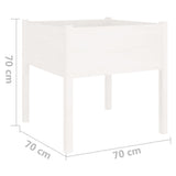 Garden Planters 2 pcs White 70x70x70 cm Solid Pinewood 810812