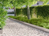 Lawn Edging 10 pcs metal 8008299