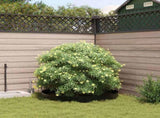 Root Barrier Black 0.7 x 10 m Polyethylene 42006487
