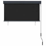 145964 Outdoor Roller Blind 120x250 cm Anthracite