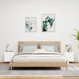 TV Wall Cabinets 2 pcs White 40.5x30x40 cm Engineered Wood 836897